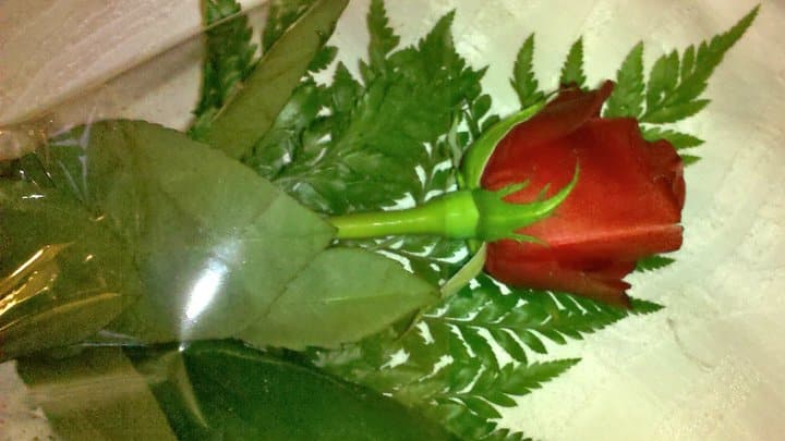 Rose-Golob-Bianchi